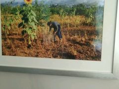 android_upload_pic-黔蘑菇四季餐厅(观山湖店)