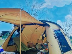 -春花秋色城市公园