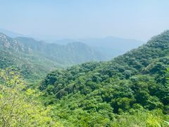 -大岭沟猕猴桃谷风景区