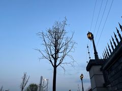 -仁虎老火锅(黄泥磅店)