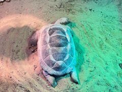 -上海大自然野生昆虫馆