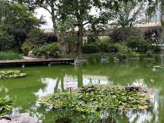 -静安公园(静安寺街道)