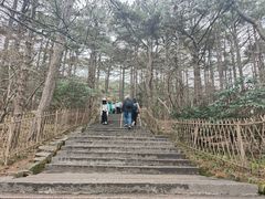 -黄山白云宾馆