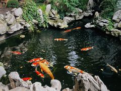 -鲤院·新中式美学·庭院餐厅(夫子庙店)