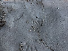 -东姑阿都拉曼海洋公园