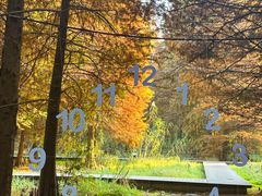 -溱湖国家湿地公园