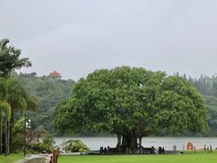 -深圳大梅沙京基洲际度假酒店