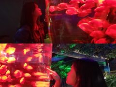 -石林冰雪海洋世界