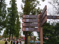 -黄海国家森林公园