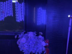 -黑桃K生日订制KTV