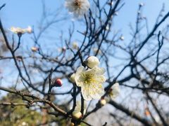 -团城山公园