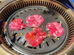 -杨记齐齐哈尔烤肉(五莲路店)