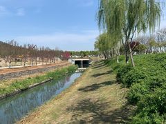 -羊山湖公园