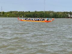 -上海海湾国家森林公园