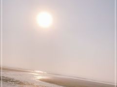 -日照海滨国家森林公园