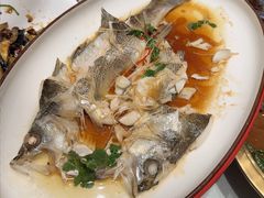 -鲁菜根·泰山菜(泰山店)
