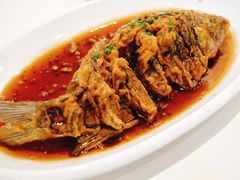 -金春禧(世茂国际广场店)