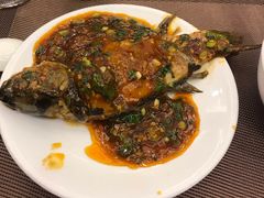 -月圆霖特色农家乐