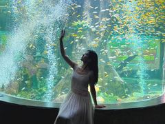 -合肥海洋世界