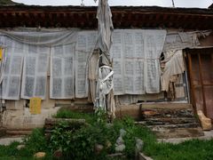 -比如骷髅墙景区