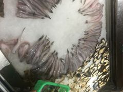 雪鱼-蒙肥羊·酸汤潮牛·鲜牛肉火锅烤肉自助(岗顶店)