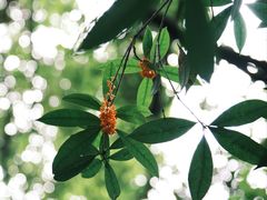 -成都杜甫草堂博物馆