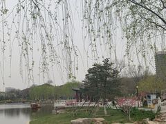 -西海子公园