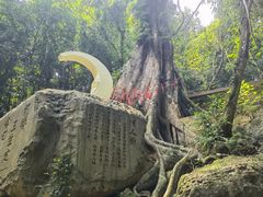 -七仙岭温泉国家森林公园