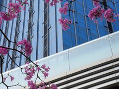 -东莞松山湖万象汇