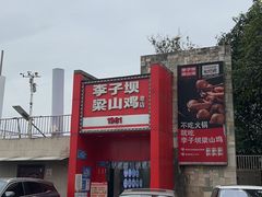 -李子坝梁山鸡(李子坝大鸡哥店)