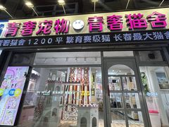 -青奢宠物·青奢猫舍