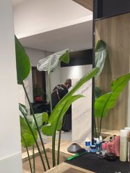 点击看大图 -Garden花園造型