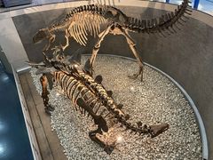 -国家自然博物馆