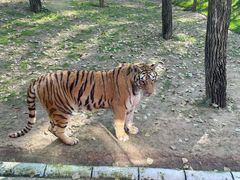 -北京野生动物园