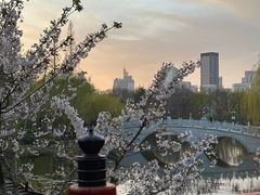 -大连植物园