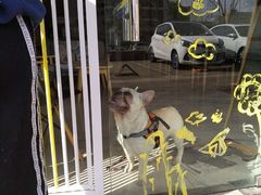 -平行世界·猫咖(首经贸店)