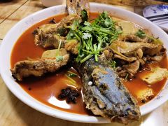 -煲来饱去冷水鱼