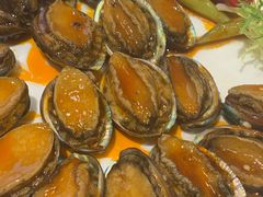 鲍鱼-赶海部落海鲜城(海阳路店)