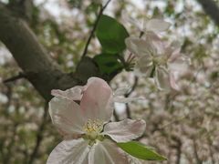 -洨河生态公园