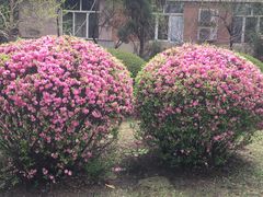 -中国建设银行哈尔滨培训中心