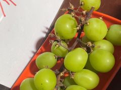 -马陆小张葡萄园农家乐