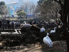 -无锡动物园·太湖欢乐园