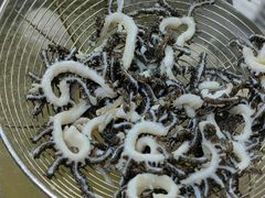 -五洲牛肉美食馆