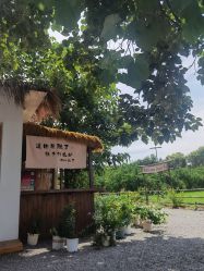 -DORA kids 朵拉儿童摄影花园店