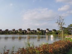 -美的鹭湖森林度假区