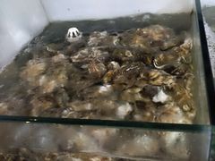 -兆辉木炭海鲜烧烤·海鲜小炒