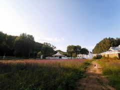 -紫海香堤香草艺术庄园