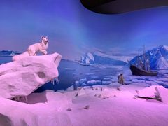 -贝林大翅鲸简餐厅(国家海洋博物馆店)