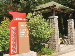 -王借岗森林公园