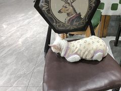 -猫小院猫主题餐厅(南锣旗舰店)